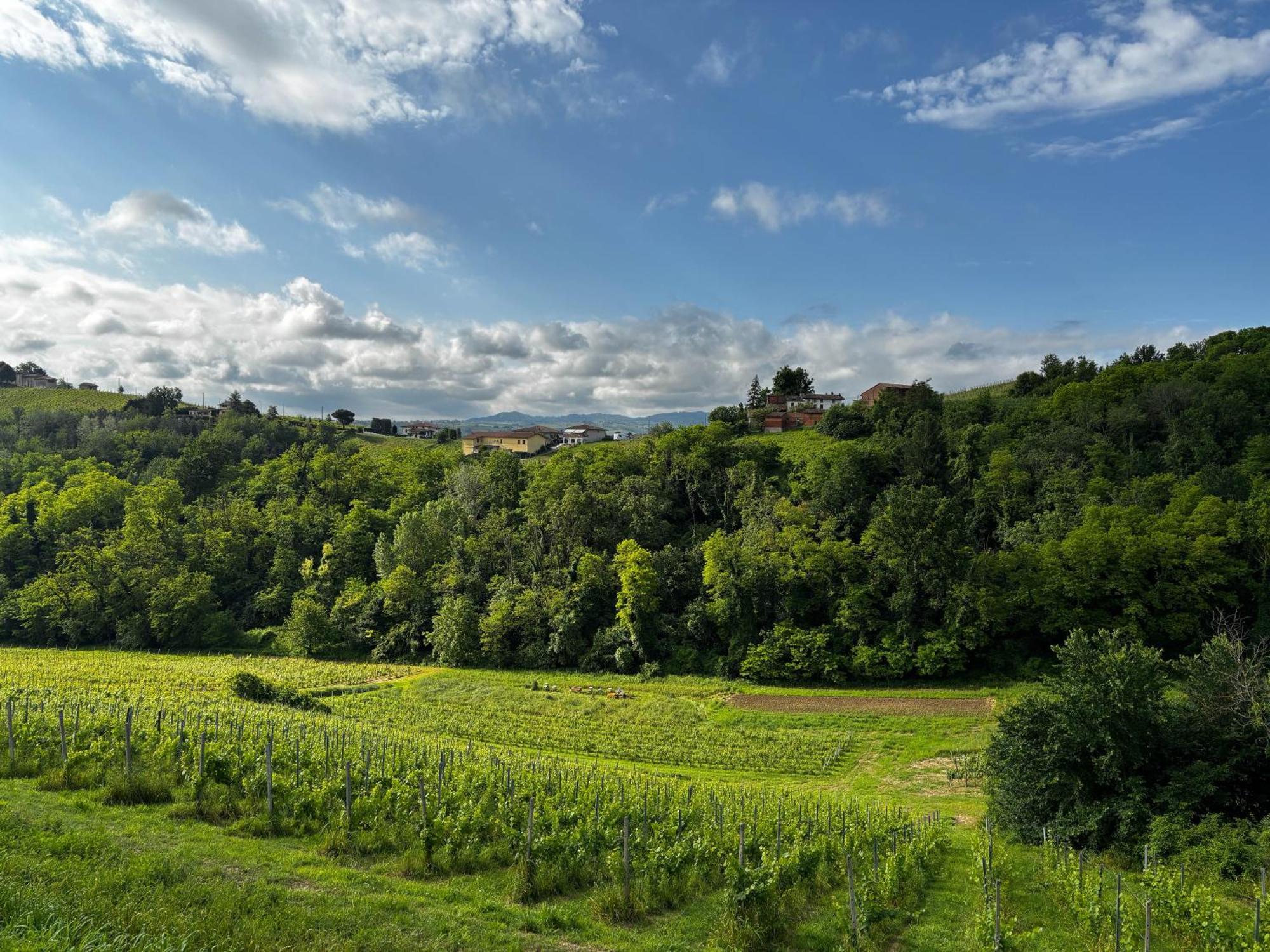 Agriturismo Casa Casoni Canneto Pavese Esterno foto