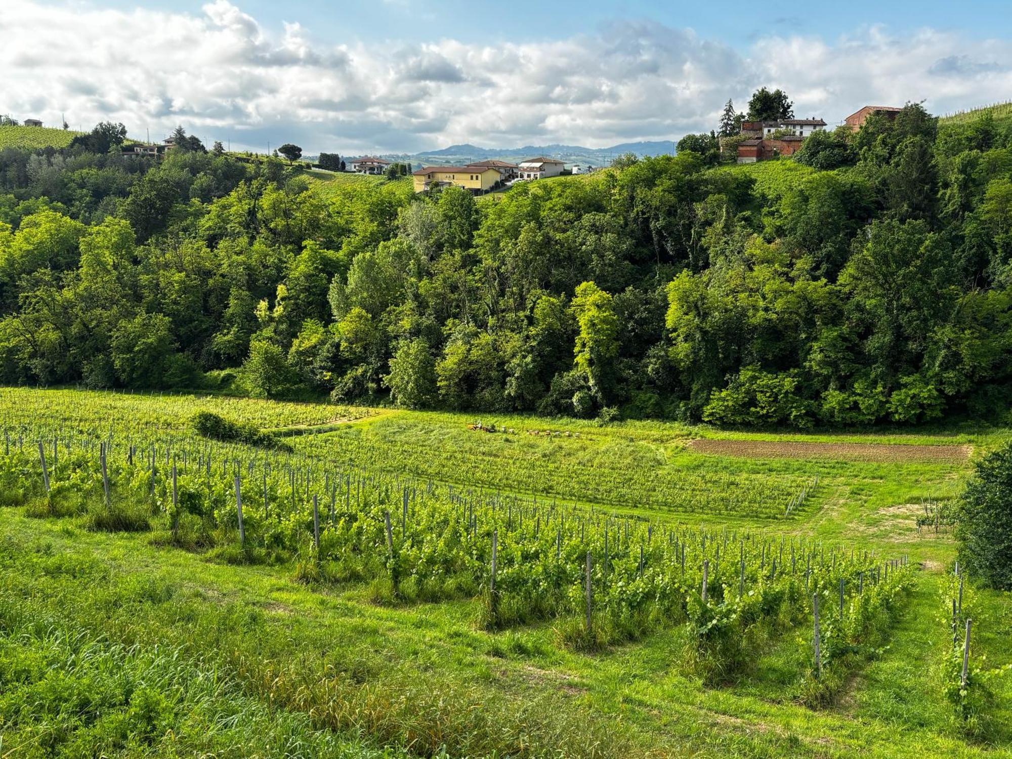 Agriturismo Casa Casoni Canneto Pavese Esterno foto